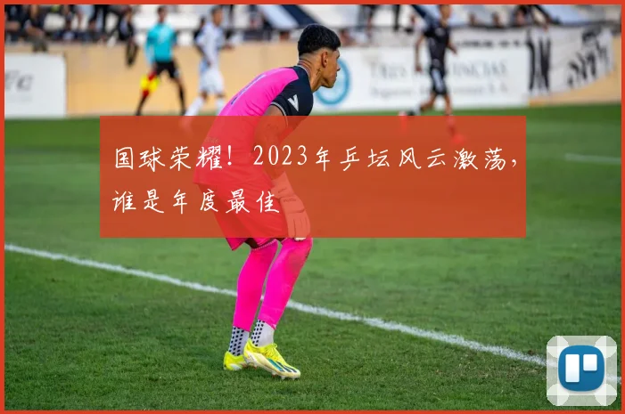 国球荣耀!2023年乒坛风云激荡,谁是年度最佳