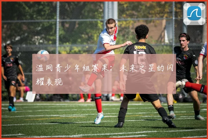 温网青少年组赛果:未来之星的闪耀表现