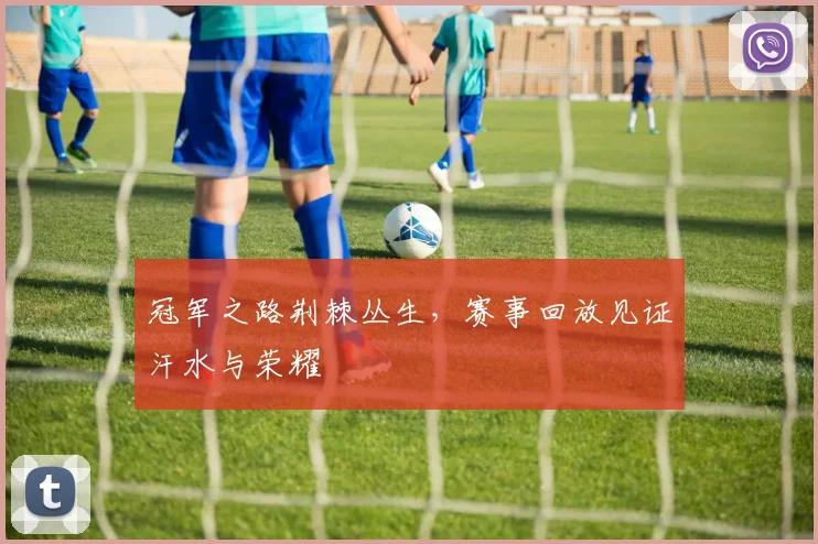 冠军之路荆棘丛生,赛事回放见证汗水与荣耀