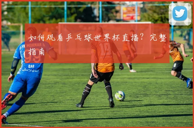 如何观看乒乓球世界杯直播?完整指南