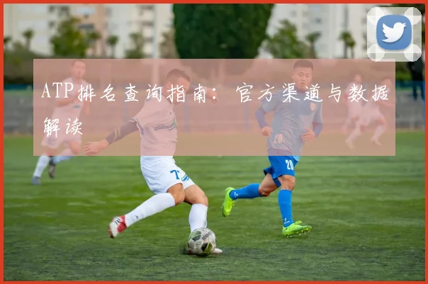 ATP排名查询指南：官方渠道与数据解读