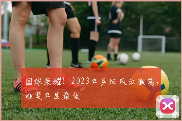 国球荣耀！2023年乒坛风云激荡，谁是年度最佳