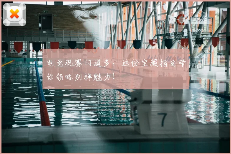 电竞观赛门道多,这份宝藏指南带你领略别样魅力!